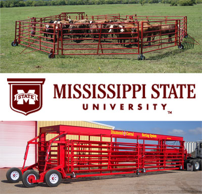 MSU - Mississippi State University and GoBob